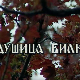 Лети, лети песмо моја мила: Постер Душице Билкић
