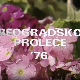 Београдско пролеће '76