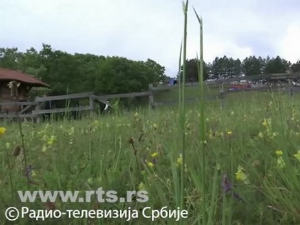 Земуница 