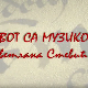 Живот са музиком: Светлана Светић