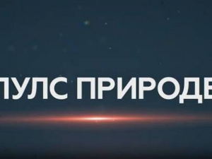 Пулс природе: Аранђеловац
