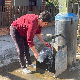 Паноникум: Жута вода у Бачкој