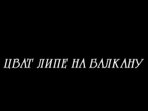 Цват липе на Балкану, 12-13