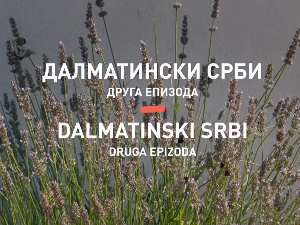 Култура Срба у Хрватској: Далматински Срби, друга епизода