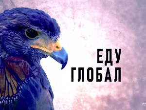 Еду глобал, 288. еп.