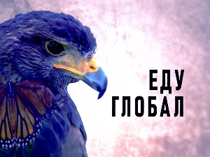 Еду глобал, 289. еп.