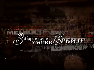 Заборављени умови Србије - Радослав Грујић