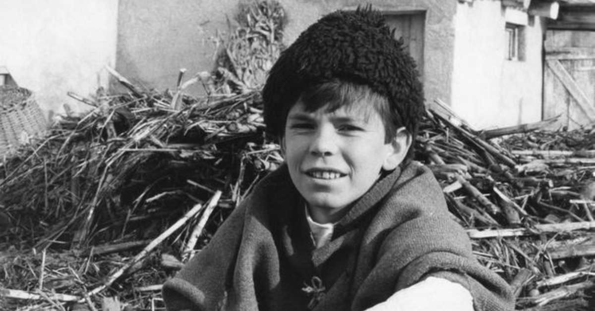 Заводљива телевизија: Креатори серија - Салаш у Малом Риту