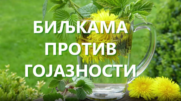Еко минијатуре/ лековито биље-Биљкама против гојазности