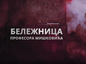 Бележница професора Мишковића, 1-12
