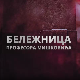 Бележница професора Мишковића, 2-12