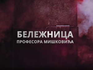Бележница професора Мишковића, 3-12