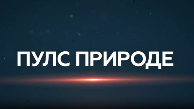 Пулс природе: Аранђеловац