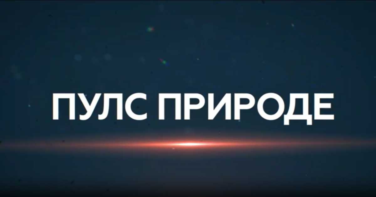 Пулс природе: Аранђеловац