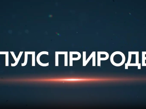 Пулс природе: Дрина сплаварење