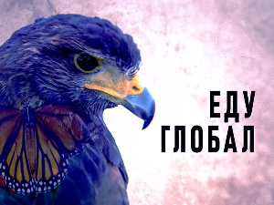 Еду глобал, 302. еп.