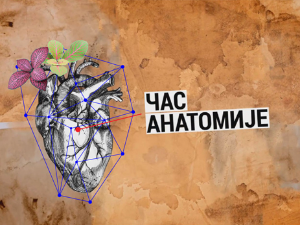 Час анатомије: Бренд и култура