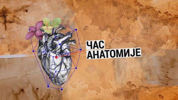 Час анатомије: Бренд и култура