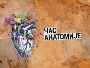 Час анатомије: Желите ли да објавите књигу