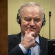 Вујић поново затражио хитно разматрање захтева за пуштање Младића на слободу