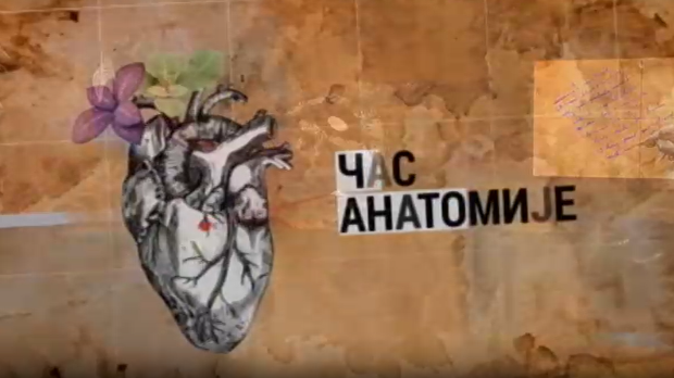 Час анатомије: О културној стратегији 