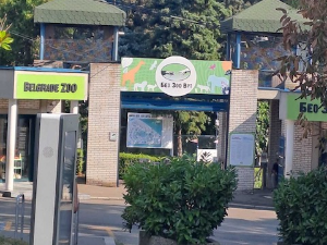 Јутарњи викенд програм