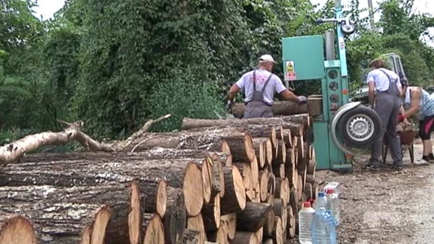 На три воде: Јутарњи програм из три студија