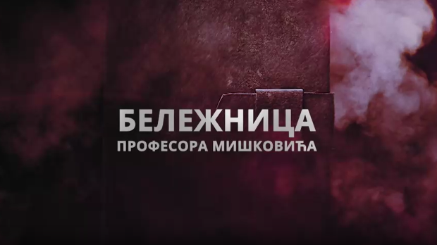 Бележница професора Мишковића, 11-12
