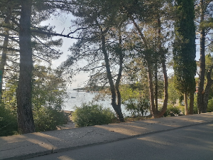 Разгледница са Крка и једна неочекивана токенизација