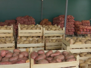 Српског кромпира све мање, европски све скупљи  – шта нас чека на пијаци