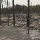 Угашен пожар у Делиблатској пешчари