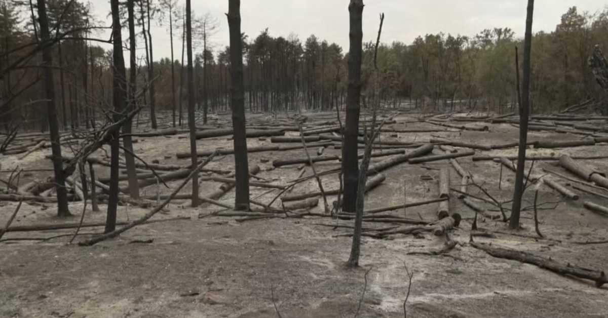 Угашен пожар у Делиблатској пешчари