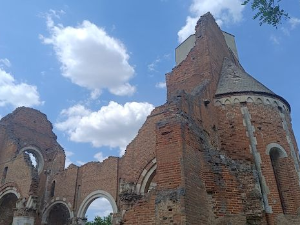 Паноникум: Арач, споменик културе