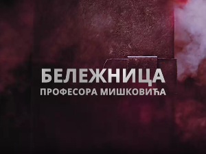Бележница професора Мишковића, 7-12
