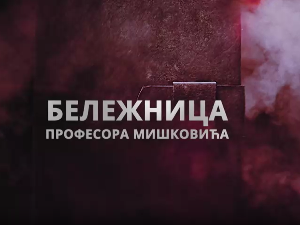 Бележница професора Мишковића, 8-12