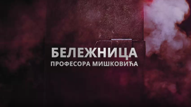 Бележница професора Мишковића, 10-12