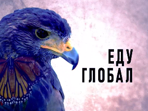 Еду глобал, 304. еп.