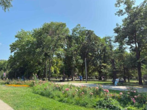 Још један топао дан пред нама, највиша дневна 34 степена