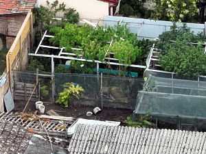 Пронађено 60 килограма индијске конопље у Новом Саду, ухапшен осумњичени за производњу дроге
