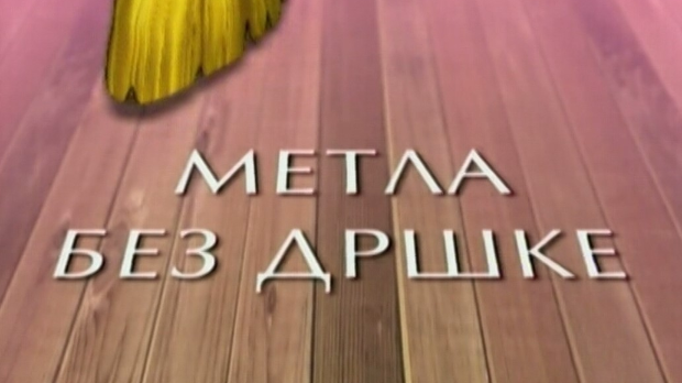 Метла без дршке  (R)