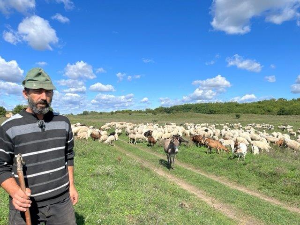  Еко перспективе: Јужнобанатска равница, други део