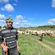 Еко перспективе: Јужнобанатска равница, други део