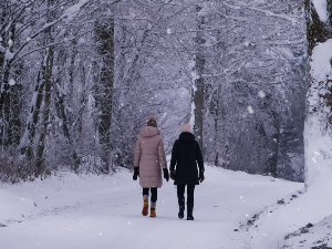 Хладноћа покреће скривени метаболички процес који продужава живот