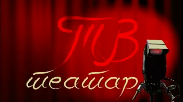ТВ театар - Палилулски роман