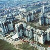 Палицом на зубара