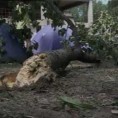 Повређена Македонка и даље критично
