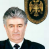 Политичка каријера Радована Караџића 