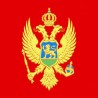 Скупштина Црне Горе без расправе усвојила 35 закона