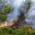 Македонија захваћена пожарима 