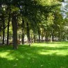 Пронађен леш жене у Кошутњаку